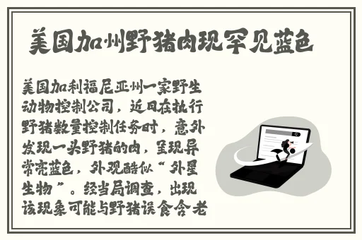 暴躁老阿姨csgo